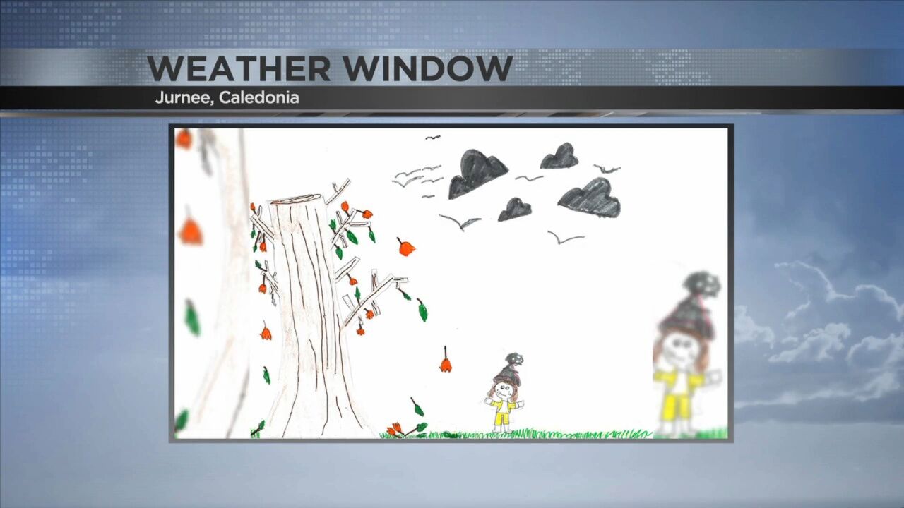 Weather Window (11/25/22)